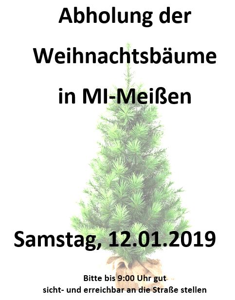 Weihnachtsbäume 2019