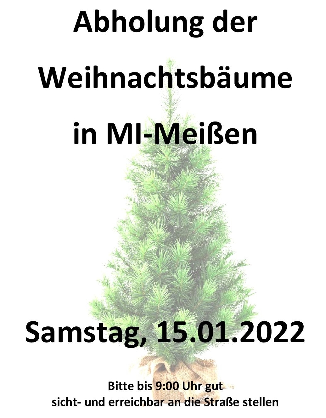 Weihnachtsbaumsammlung 2022